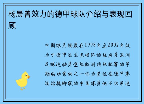 杨晨曾效力的德甲球队介绍与表现回顾